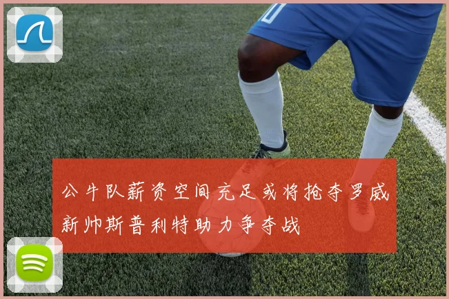 公牛队薪资空间充足或将抢夺罗威新帅斯普利特助力争夺战